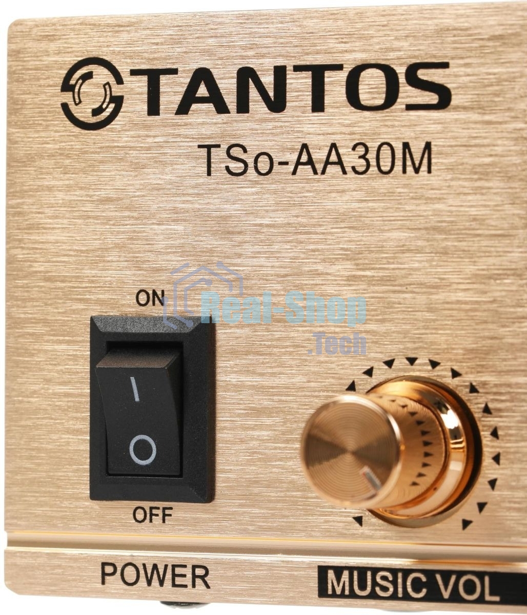 Усилитель Tantos TSo-AA30M выход 100Вт/30Вт