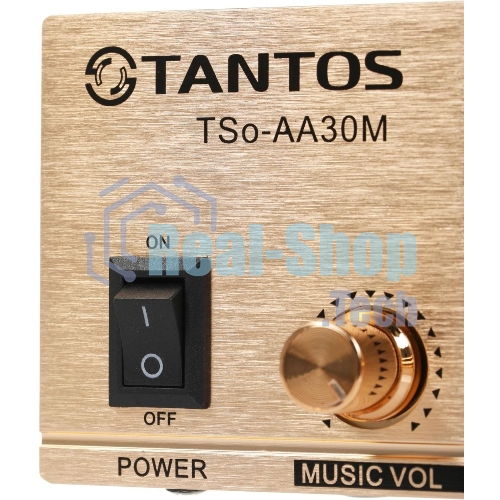 Усилитель Tantos TSo-AA30M выход 100Вт/30Вт