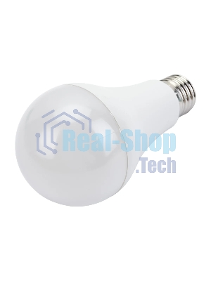 Лампа cветодиодная LED IEK LL-A65-25-230-40-E27-G груша, A65 25Вт 230В 4000К E27 GENERICA