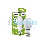 Лампа cветодиодная LED IEK LL-A65-25-230-40-E27-G груша, A65 25Вт 230В 4000К E27 GENERICA