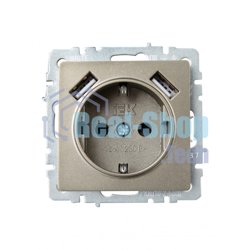 Розетка 1-местная IEK BRITE РЮш10-2-БрШ (BR-R14-16-U21-D31-K37) с заземлением, с защитными шторками, 16А, с USB A+A 5В 3,1А, шампань