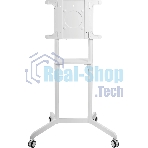 Стойка для телевизора Cactus CS-ST1146WT белый, 37