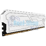 Оперативная память Netac Shadow III, DDR4, 32GB (1x32GB), 3200 MHz, CL22, с радиатором, белый