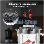 Блендер стационарный Zigmund & Shtain BS-481 D 1200 Вт, металлик