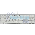 Клавиатура проводная A4Tech Fstyler FX50, USB, белый