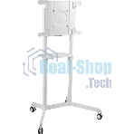 Стойка для телевизора Cactus CS-ST1146WT белый, 37
