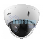 Камера видеонаблюдения Dahua DH-SD22404DB-GNY