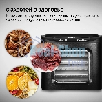 Сушка для фруктов и овощей Hyundai HYFD-P1203 12под. 500 Вт, черный