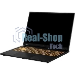 Ноутбук ASUS TUF Gaming F16 FX608JMR-RV114 Intel Core i7 14650HX 2200MHz/16