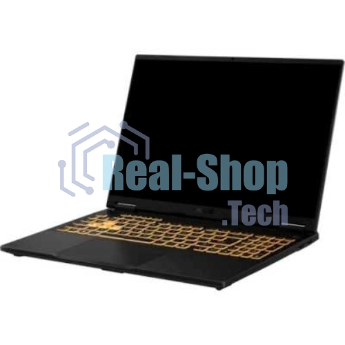 Ноутбук ASUS TUF Gaming F16 FX608JMR-RV114 Intel Core i7 14650HX 2200MHz/16
