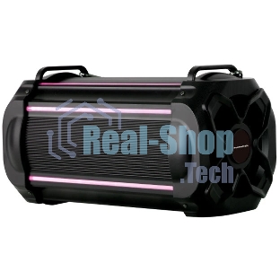 Акустическая система RUIMATECH VA-7804