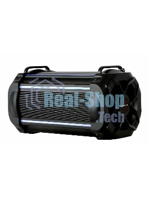 Акустическая система RUIMATECH VA-7804