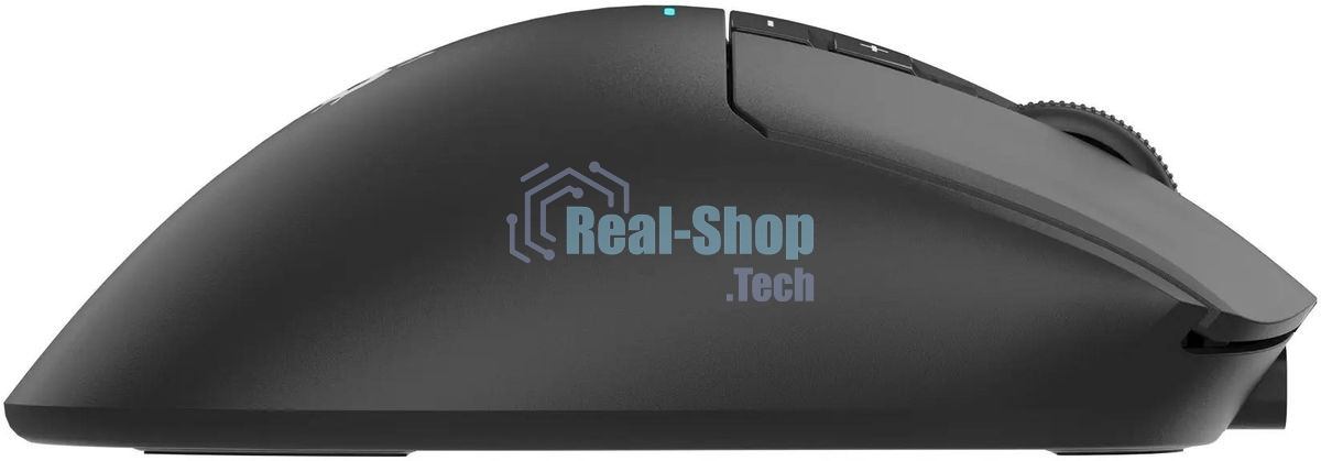 Мышь A4Tech Bloody R73 Pro черный оптическая 26000dpi беспров. USB-C 7but (R73 PRO BLACK)