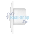 Вентилятор вытяжной Royal Thermo RAFR 100 S
