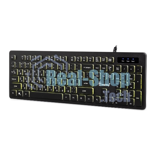Клавиатура SMARTBUY (SBK336UK) 336 USB