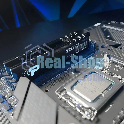 Оперативная память Patriot Signature Premium, DDR5, 16Gb (1x16 GB), 5600 MHz, CL46, DIMM, радиатор, черный