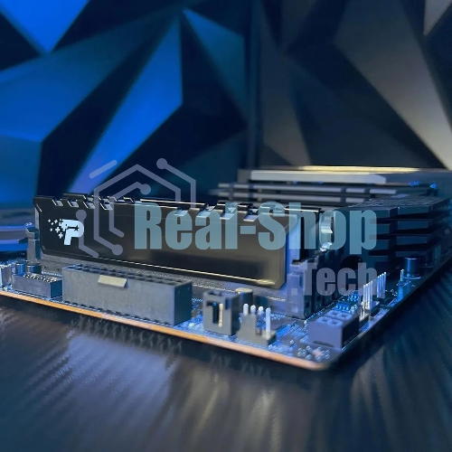 Оперативная память Patriot Signature Premium, DDR5, 16Gb (1x16 GB), 5600 MHz, CL46, DIMM, радиатор, черный