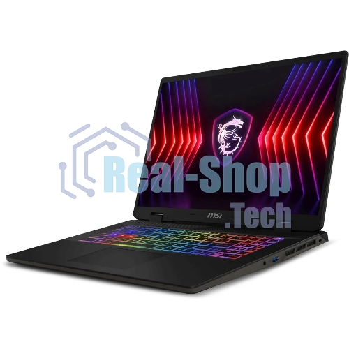 Ноутбук MSI Sword 17 HX B14VGKG-048XRU Core i9 14900HX 16Gb SSD1Tb NVIDIA GeForce RTX4070 8Gb 17