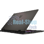 Ноутбук MSI Sword 17 HX B14VGKG-048XRU Core i9 14900HX 16Gb SSD1Tb NVIDIA GeForce RTX4070 8Gb 17