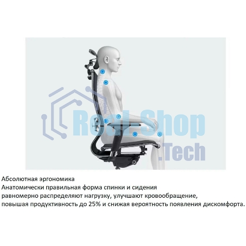 Кресло компьютерное ErgoLife Set 7/подл.131/осн.Synchro 052, черный 219.16.1.403 z316738281