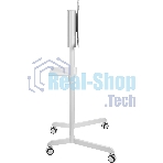 Стойка для телевизора Cactus CS-ST1146WT белый, 37