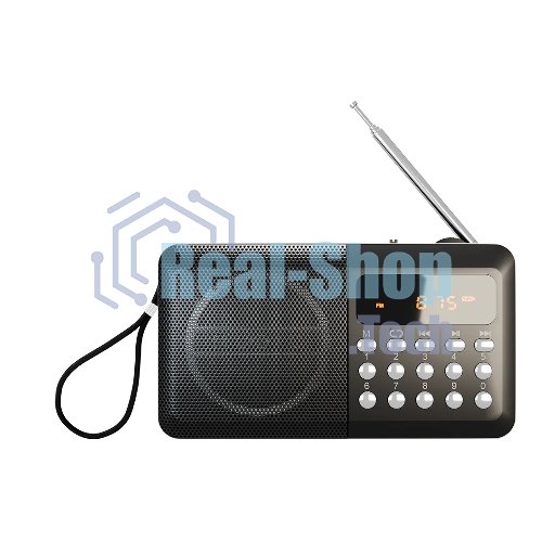 Радиоприемник SOUNDMAX SM-RD2116 черный