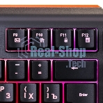 Клавиатура Oklick 717G Black Death проводная, USB Type-A, чёрный/серый