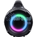 Колонка портативная Ural Урал ТТ М6+ черный/черный 110W 1.1 BT/3.5Jack/USB-C 10м 8000mAh