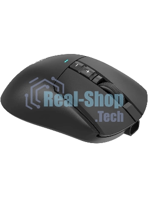Мышь беспроводная A4Tech Bloody R73 Ultra черный оптическая 20000dpi беспров. USB-C 7but (R73 ULTRA BLACK)