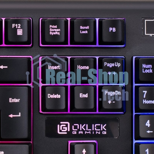 Клавиатура Oklick 717G Black Death проводная, USB Type-A, чёрный/серый
