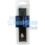 Оперативная память Patriot Signature Premium, DDR4, 32GB (1x32GB), 3200 MHz, CL22, с радиатором, чёрный