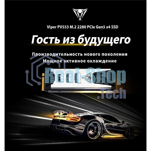 Накопитель SSD Patriot Viper PV553, 1Tb, PCIe 5.0 x4, M.2 2280, NVMe, R/W 11700/9500, активное охлаждение