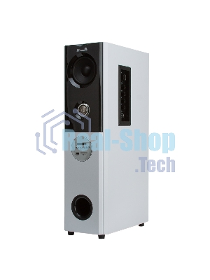Колонка ELTRONIC 08