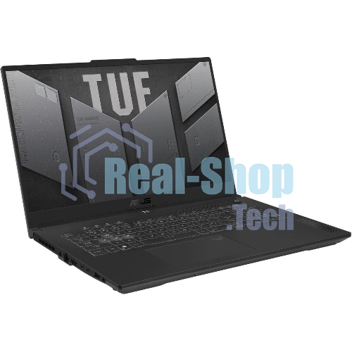 Ноутбук ASUS TUF Gaming FA707NUQ-HX010/17.3