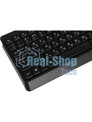 Клавиатура проводная A4Tech Fstyler FK15, USB, черный