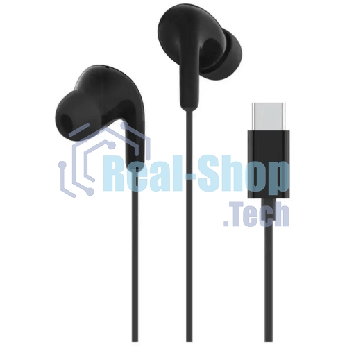 Наушники Xiaomi Type-C Earphones черный M2413E1
