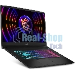Ноутбук MSI Katana 17 B13VEK-1610XRU Intel Core i7 13620H 2400MHz/17.3