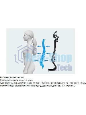 Кресло компьютерное ErgoLife Set 7/подл.131/осн.Synchro 052, черный 219.16.1.403 z316738281