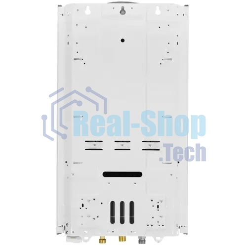 Колонка газовая Thermex G 20 D Eco белый
