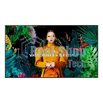 Панель Samsung QB75C черный VA, 75