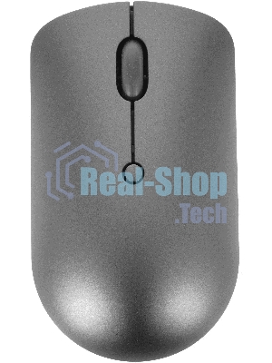 Мышь беспроводная Lenovo 540 темно-серый, 2400 dpi, радиоканал, USB-C, кнопки - 4