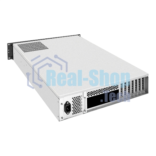 Серверная платформа ExeGate EX293875RUS Pro 2U650-06/2U2098L (RM 19