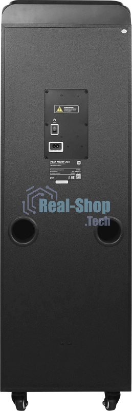 Колонка портативная Ural 203 черный 2000W 1.1 BT/3.5Jack/USB-C 15м 9000mAh