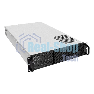 Серверная платформа ExeGate EX293875RUS Pro 2U650-06/2U2098L (RM 19