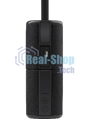 Колонка портативная Defender Union black (20Вт, 2.0 стерео, Bluetooth, питание от аккумулятора)