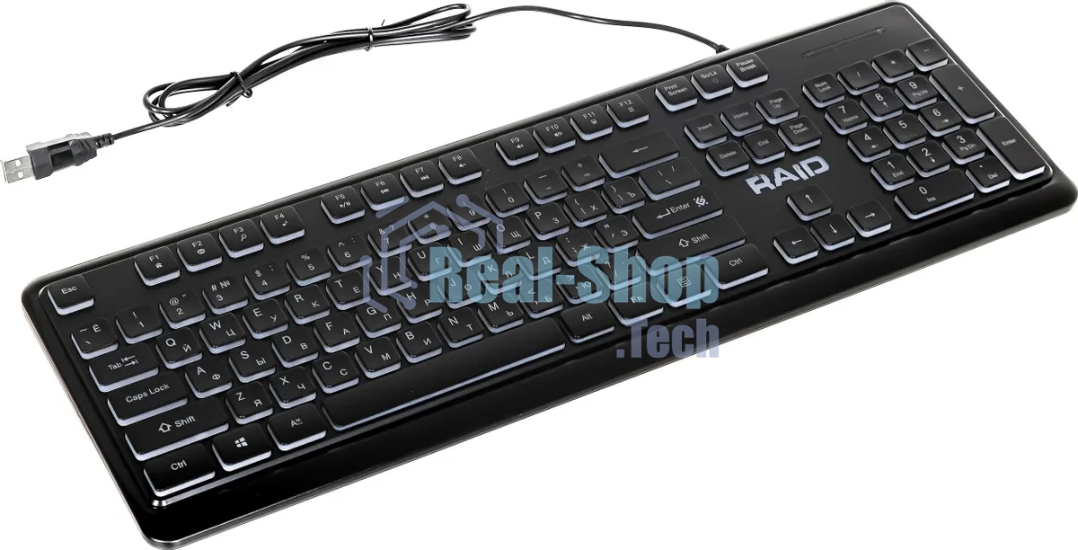 Клавиатура проводная Defender Raid GK-778DL, USB, черный