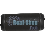 Портативная колонка Ritmix SP-320B черный