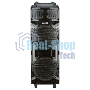 Колонка Eltronic 10