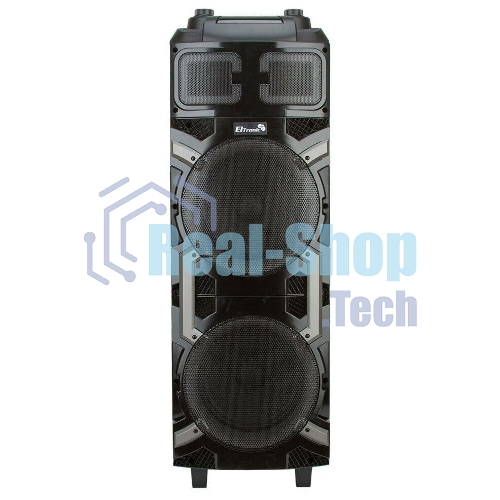 Колонка Eltronic 10