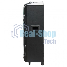 Колонка Eltronic 10